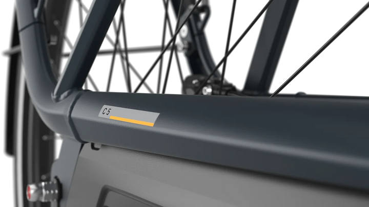 Avignon C5 HMB Str 53